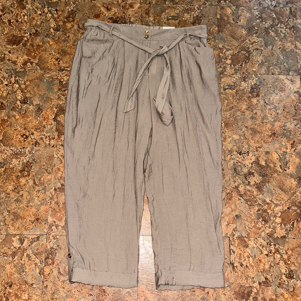 Chico's Brown Ankle Pants